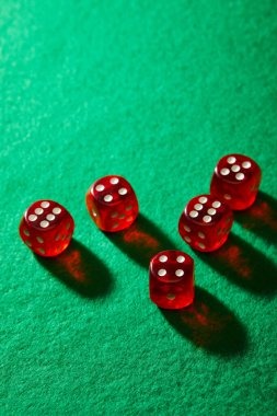koi800 slot game and live dealer lobby overview
